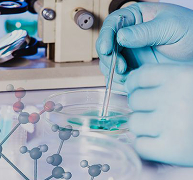 API и промежуточные продукты